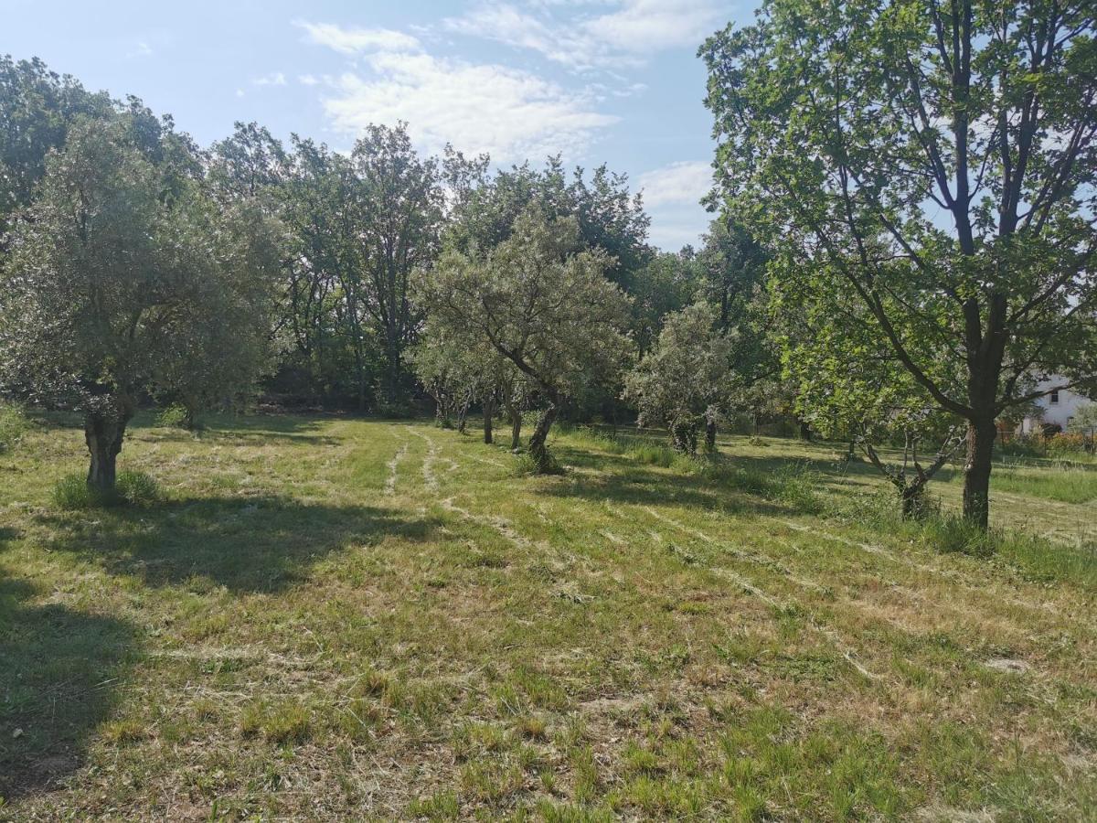 Вілла Domaine Geodora, Parfumeur En Provence Сен-Бонне-де-Монтору Екстер'єр фото