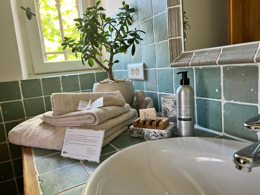 Вілла Domaine Geodora, Parfumeur En Provence Сен-Бонне-де-Монтору Екстер'єр фото
