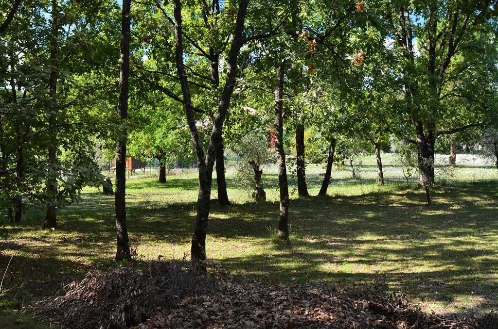 Вілла Domaine Geodora, Parfumeur En Provence Сен-Бонне-де-Монтору Екстер'єр фото